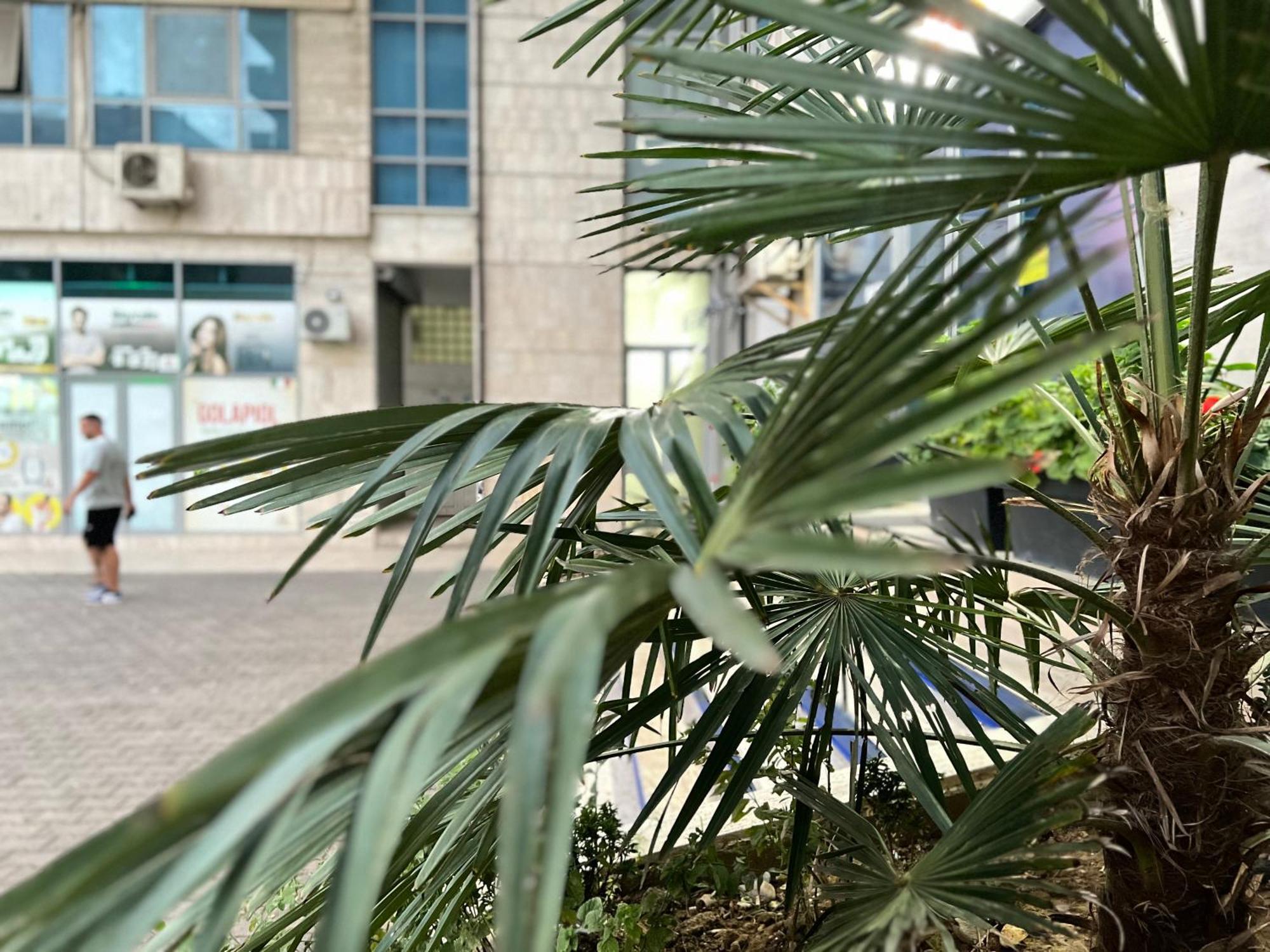 New Baazar Terrace Apartment 地拉那 外观 照片